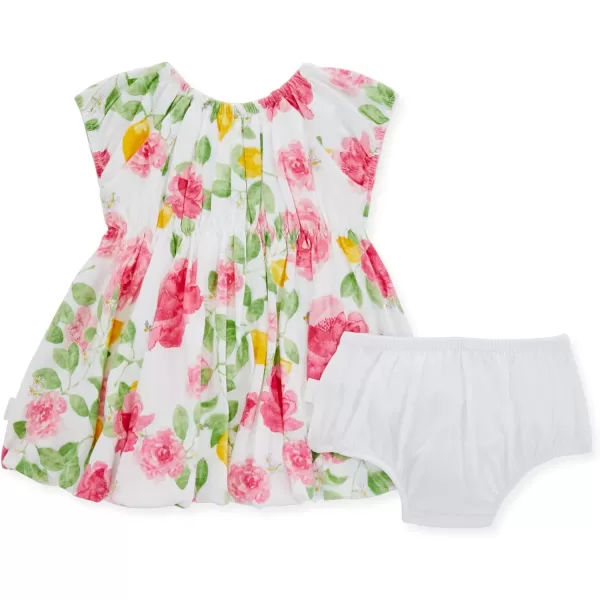 Burt's Bees Baby Baby Girls' Dress, Infant &amp; Toddler, Short &amp; Long-Sleeve, 100% Organic Cotton