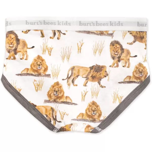 Burt's Bees Baby Toddler Boys' Underwear, Organic Cotton, Tag-Free Comfort Briefs