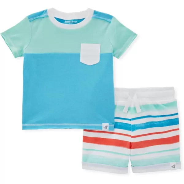 Burt's Bees Baby Baby Boys' Shirt and Pant Set, Top &amp; Bottom Outfit Bundle, 100% Organic Cotton