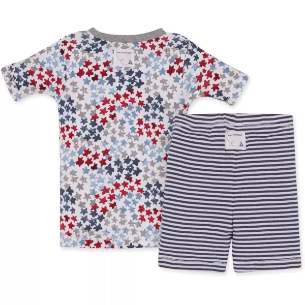 Burt's Bees Baby Baby Boys' Pajamas, Tee and Pant 2-Piece Pj Set, 100% Organic Cotton