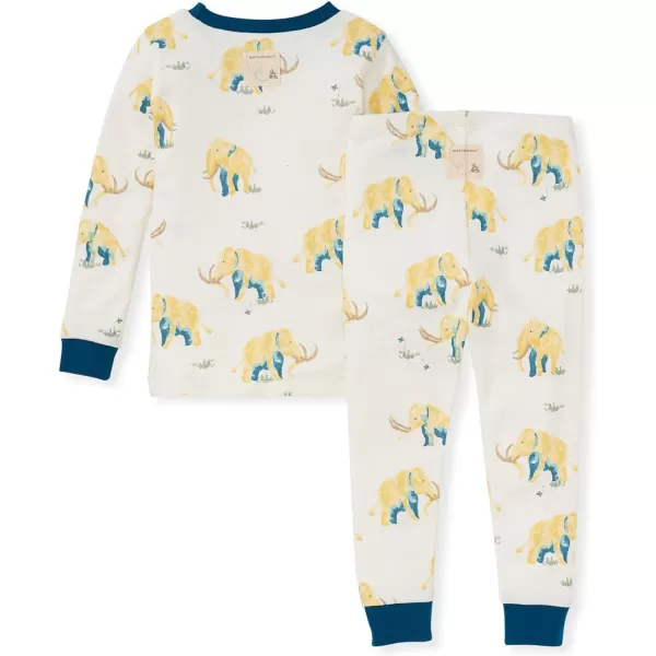 Burt's Bees Baby Baby Boys' Pajamas, Tee and Pant 2-Piece Pj Set, 100% Organic Cotton