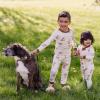 imageBurts Bees Baby Boys 2Piece Long Sleeve Tee and Pants Organic Cotton Pajama SetSt Bernard