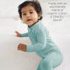 imageBurts Bees Baby Unisex Baby Honeysoft Pajamas Footless Onepiece Zipup Pj Soft Organic Cotton ampamp Lyocell BlendSeaglass Blue
