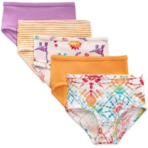 imageBurts Bees Baby Toddler Girls Underwear Set of 5  Solids StripesPrints TagFree with Sizes for 2T to 8 Years OldDino Friends