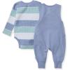 imageBurts Bees Baby Boys 100 Organic OnePiece Long Sleeve CoverallBlue Stripe Overall Set