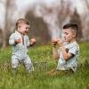 imageBurts Bees Baby Boys 100 Organic OnePiece Long Sleeve CoverallWindow Plaid