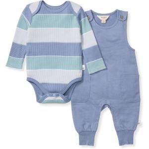 imageBurts Bees Baby Boys 100 Organic OnePiece Long Sleeve CoverallBlue Stripe Overall Set