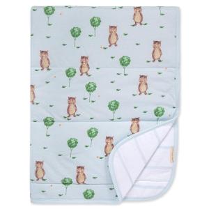 imageBurts Bees Baby Infant Reversible Blankets 100 Organic Cotton GOTS Certified  Storybook Bear Prints with Quilting Pattern Soft Nursery Blanket with 100 Polyester Fill for Size 30 x 40 Inch