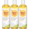 imageBaby Shampoo ampamp Wash Burts Bees Tear Free Soap Baby Care Original 21 Ounce Packaging May Vary12 Fl Oz Pack of 3