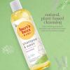 imageBaby Shampoo ampamp Wash Burts Bees Tear Free Soap Baby Care Original 21 Ounce Packaging May Vary12 Fl Oz Pack of 3