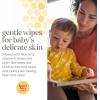 imageBurts Bees Baby Wipes Unscented Natural for Sensitive Skin with Aloe and Vitamin E  72 Baby Wipes  10 PackUnscented
