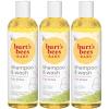 12 Fl Oz (Pack of 3)