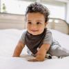 imageBurts Bees Baby 5Pack Bandana Bib Set with Snap ClosureAsh Grey
