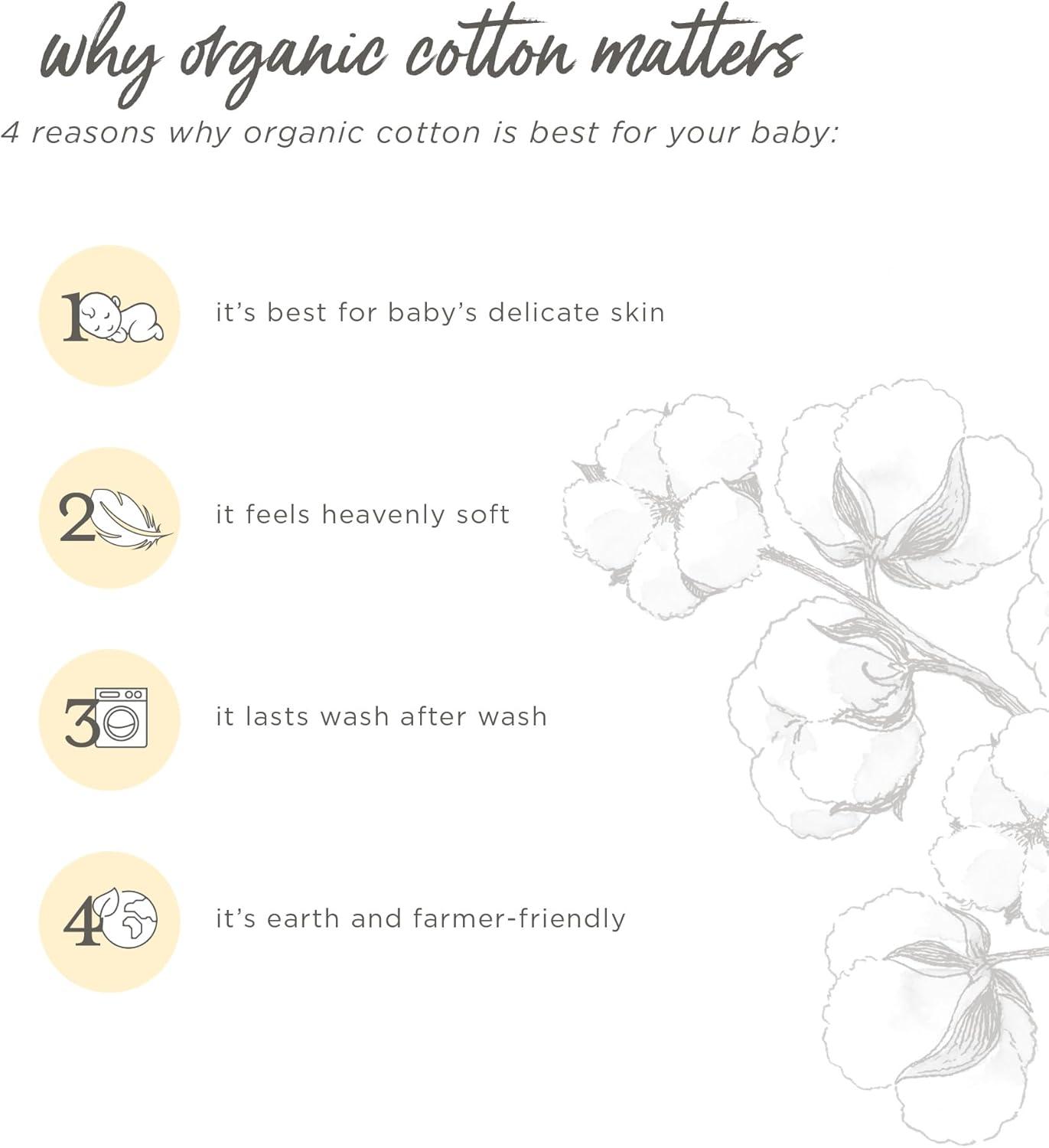 imageBurts Bees Baby babygirls Short Sleeve Top and Leggings Set Outfit Bundle 100 Organic CottonFresh Herbs