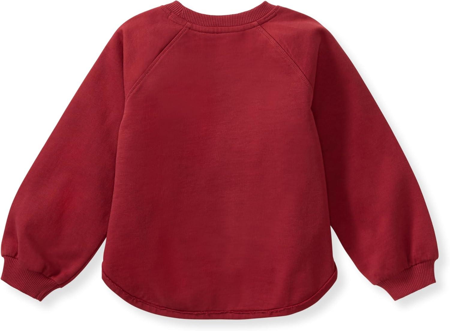 imageBurts Bees Baby unisexbaby Sweatshirt Lightweight Pull Over Sweater Organic Cotton Layering EssentialBelieve Sweatshirt