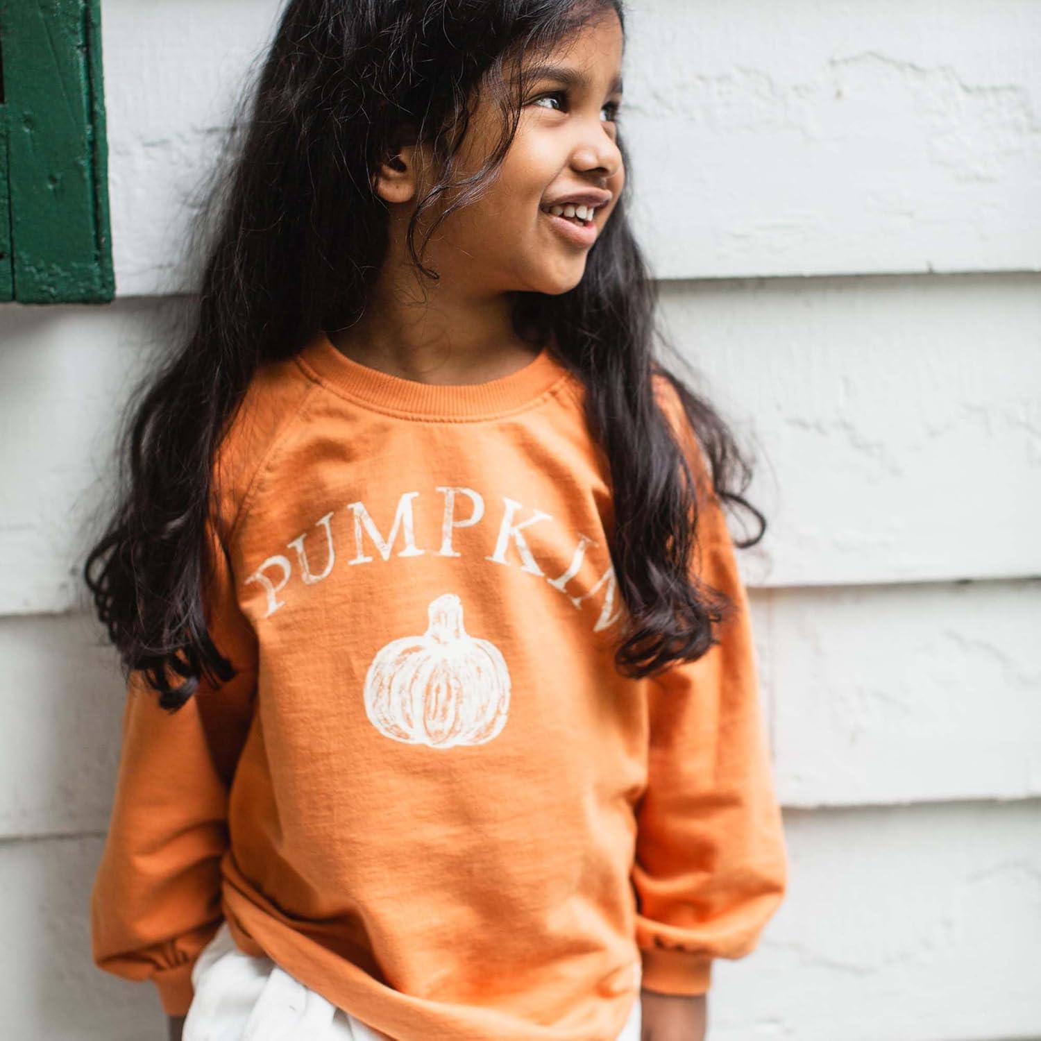 imageBurts Bees Baby unisexbaby Sweatshirt Lightweight Pull Over Sweater Organic Cotton Layering EssentialPumpkin Sweatshirt