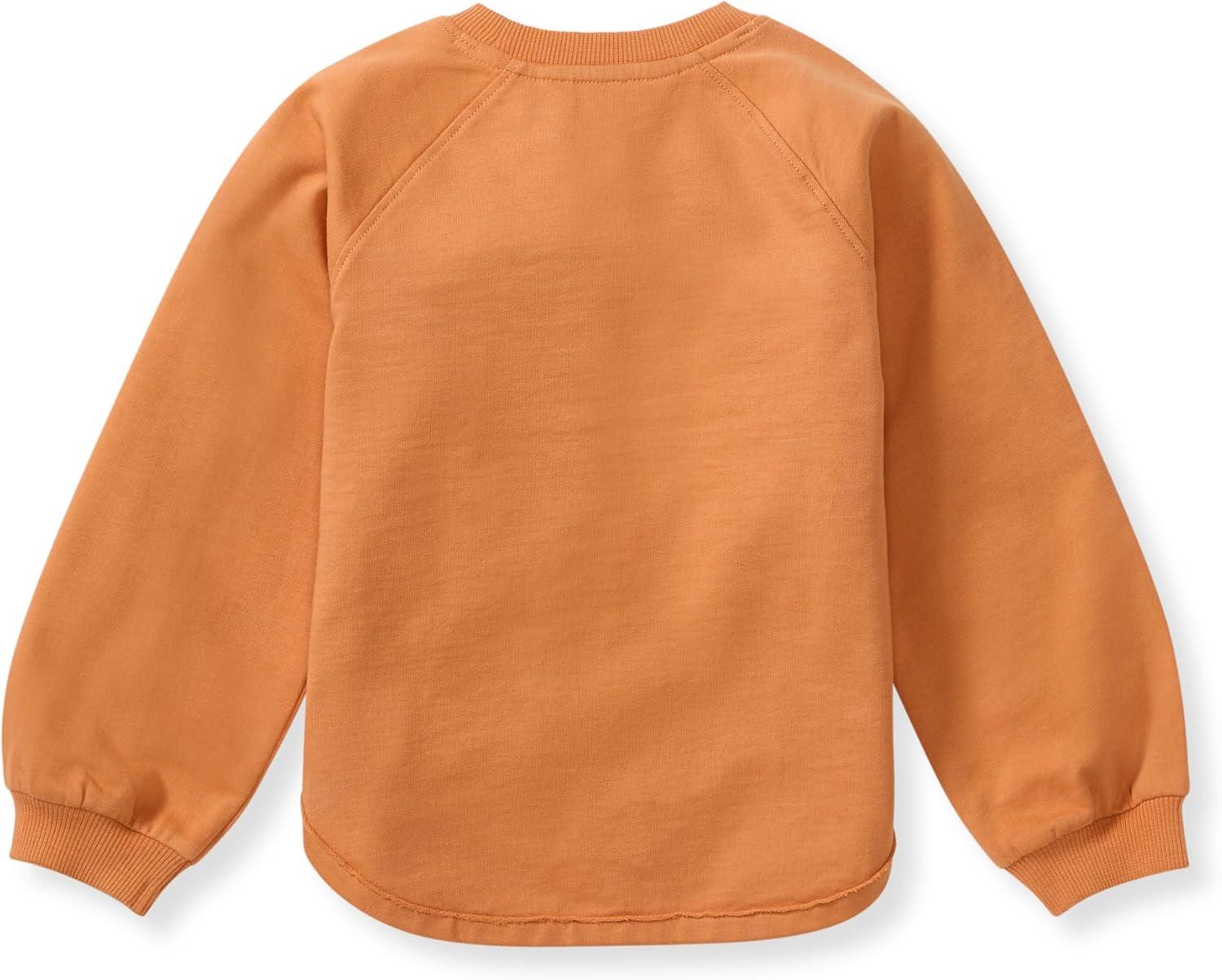 imageBurts Bees Baby unisexbaby Sweatshirt Lightweight Pull Over Sweater Organic Cotton Layering EssentialPumpkin Sweatshirt