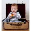 imageBurts Bees Baby Boys OnePiece Sleep and Play 100 Organic Cotton PJsGrey