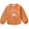 imageBurts Bees Baby unisexbaby Sweatshirt Lightweight Pull Over Sweater Organic Cotton Layering EssentialPumpkin Sweatshirt