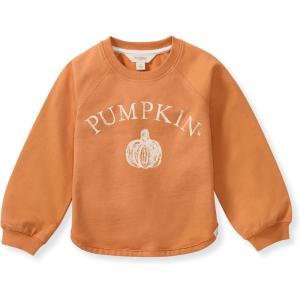 imageBurts Bees Baby unisexbaby Sweatshirt Lightweight Pull Over Sweater Organic Cotton Layering EssentialPumpkin Sweatshirt