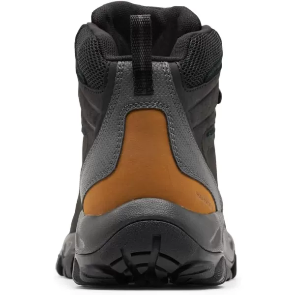 Columbia Men's Newton Ridge Plus Wp Hiking Shoe
