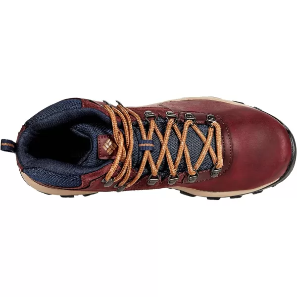 Columbia Men's Newton Ridge Plus Wp Hiking Shoe