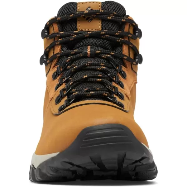 Columbia Men's Newton Ridge Plus Wp Hiking Shoe