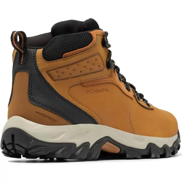 Columbia Men's Newton Ridge Plus Wp Hiking Shoe