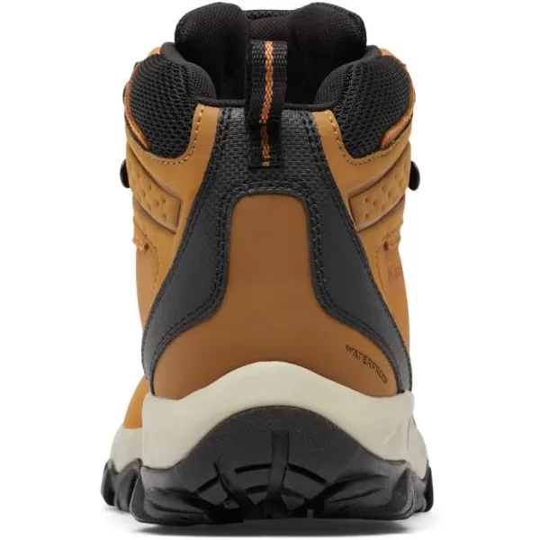 Columbia Men's Newton Ridge Plus Wp Hiking Shoe