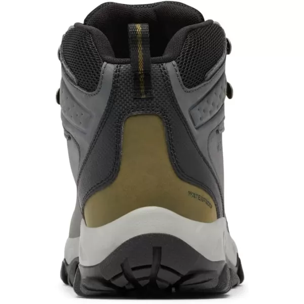 Columbia Men's Newton Ridge Plus Wp Hiking Shoe