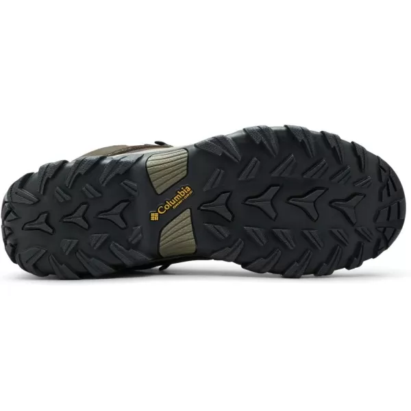 Columbia Men's Newton Ridge Plus Wp Hiking Shoe