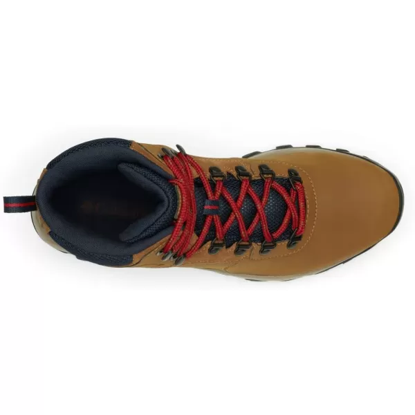 Columbia Men's Newton Ridge Plus Wp Hiking Shoe
