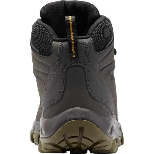 Columbia Men's Newton Ridge Plus Wp Hiking Shoe