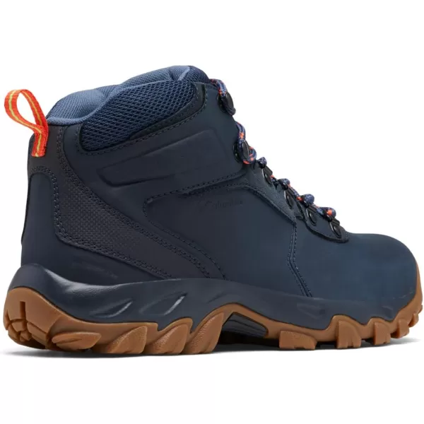 Columbia Men's Newton Ridge Plus Wp Hiking Shoe