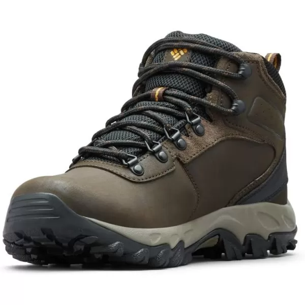Columbia Men's Newton Ridge Plus Wp Hiking Shoe