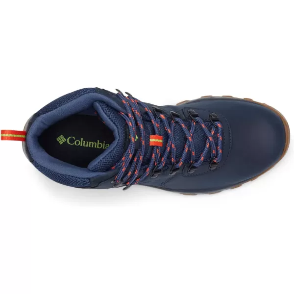Columbia Men's Newton Ridge Plus Wp Hiking Shoe