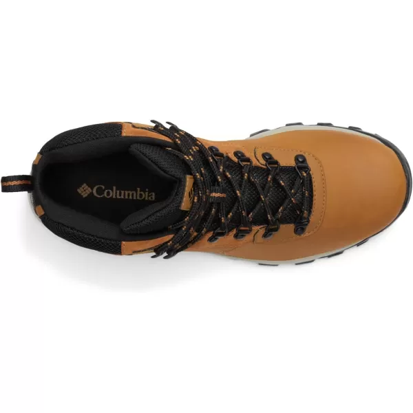 Columbia Men's Newton Ridge Plus Wp Hiking Shoe