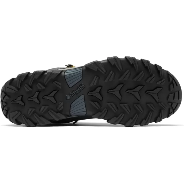 Columbia Men's Newton Ridge Plus Wp Hiking Shoe