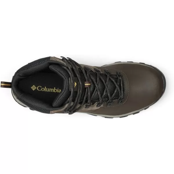 Columbia Men's Newton Ridge Plus Wp Hiking Shoe