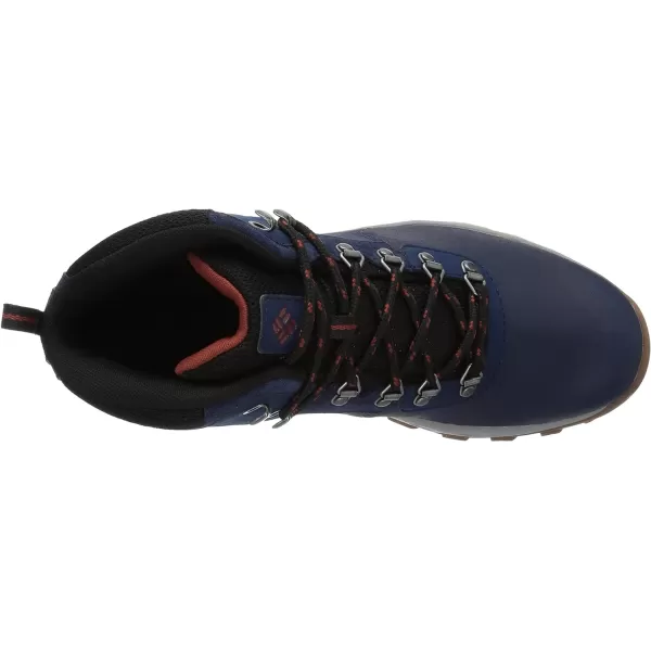 Columbia Men's Newton Ridge Plus Wp Hiking Shoe