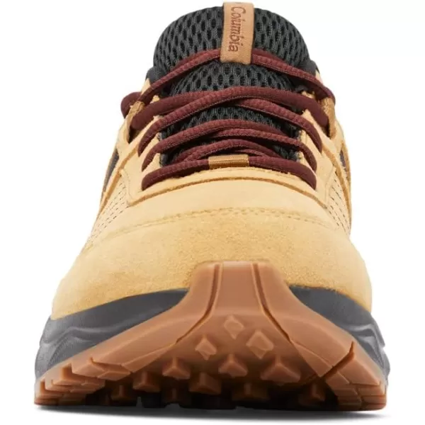 Columbia Men's Plateau Venture Hiking Shoe