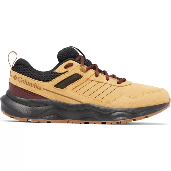Columbia Men's Plateau Venture Hiking Shoe