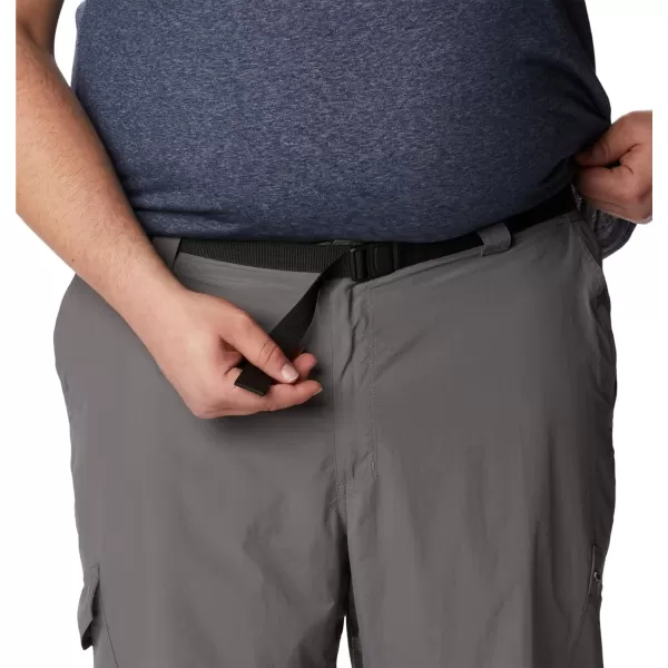 Columbia Men's Silver Ridge Cargo Pant