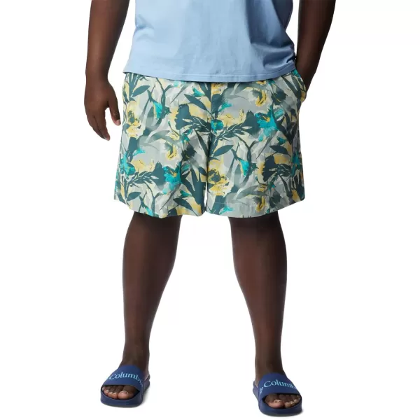 Columbia Men's Standard M Summerdry Short