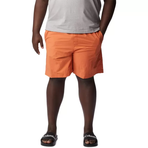 Columbia Men's Standard M Summerdry Short