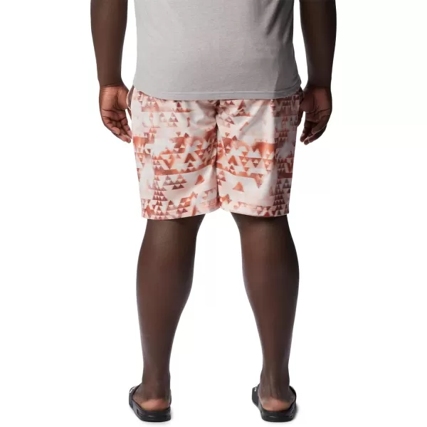 Columbia Men's Summertide Stretch Printed Short