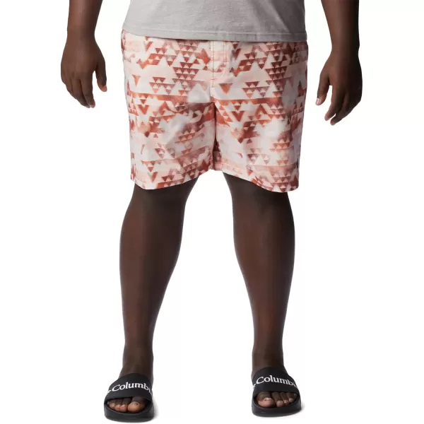 Columbia Men's Summertide Stretch Printed Short