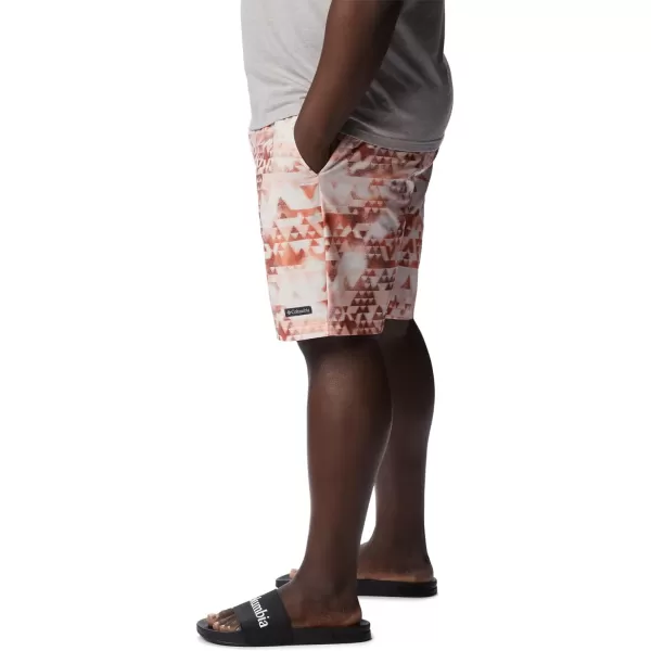 Columbia Men's Summertide Stretch Printed Short