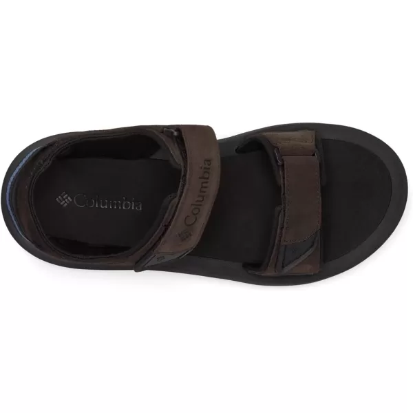 Columbia Men's Trailstorm Hiker 2 Strap Sport Sandal