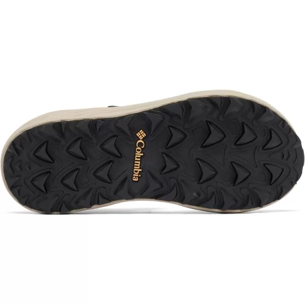 Columbia Men's Trailstorm Hiker 2 Strap Sport Sandal